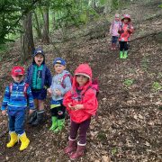 Lesní mateřská školka - Druhá polovina května