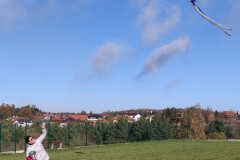 IMG_20221110_094618