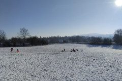 IMG_20240109_104606