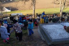 IMG_20241218_102619_255